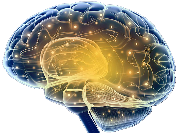 医疗器械国产不宜妄自菲薄